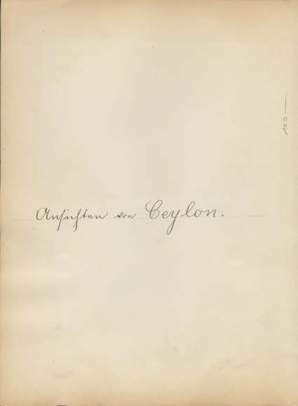 Foto Colombo Ceylon Sri Lanka, lokale vrouw met thee, straatuitje, riksja-chauffeur