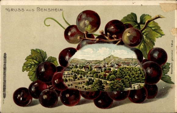 Chromo-Litho Bensheim on the Bergstrasse Hesse, general view, grapes