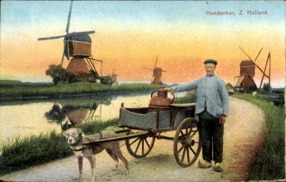 Ak Südholland, Hundekarren, Windmühlen, Arbeitshund