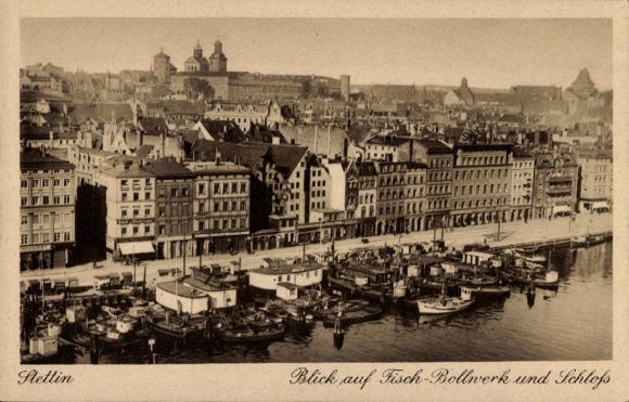 Postwaardekaart Szczecin Stettin Pommeren, visbolwerk en kasteel, PP 113 F 1 03