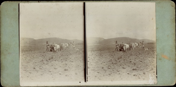 Stereo photo German East Africa Tanzania, farmer A. Rohde's plow team