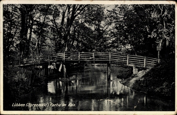Ak Lübben im Spreewald, Brücke über Wasser, Bäume, Text 'Lübben (Spreewald) Partie im Hain.'