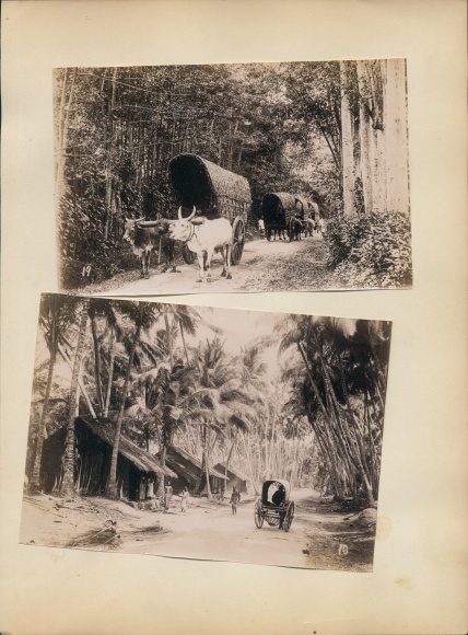 Photo Colombo Ceylon Sri Lanka, local people, roadside, cattle wagons, huts