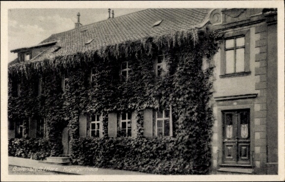 Ak Ballenstedt im Harz, Haus mit Efeu, zwei Fenster, Eingangstür, zwei Geschosse