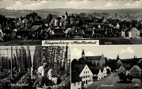Postcard Siegenburg im Hallertau Lower Bavaria, market square, hop pickers, general view