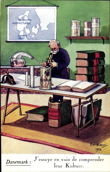 Kunstenaar Ak Dupuis, Emil, Denemarken, J'Essaye en vain de comprendre leur Kulture, chemicus