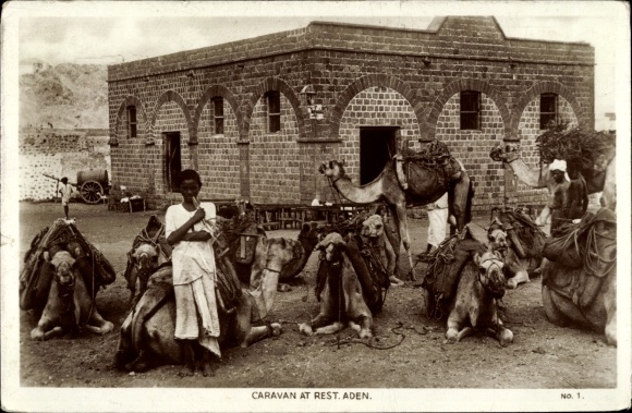 Postcard Aden Yemen, Caravan at rest