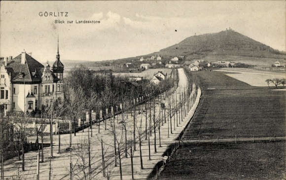 Ak Görlitz in der Lausitz,  Blick zur Landeskrone, Stadtansicht, Strasse mit Bäumen