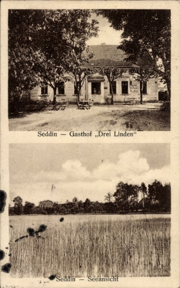 Postcard Seddin Seddiner See Brandenburg, lake view, Gasthof Drei Linden, owner Willy Grätz