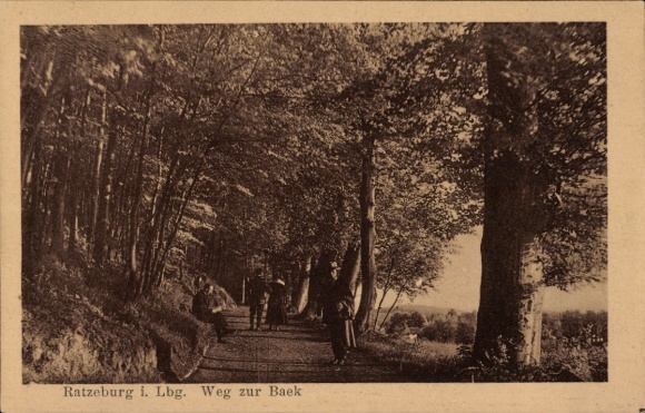 Ak Ratzeburg im Herzogtum Lauenburg, Waldweg, Spaziergänger, Bäume, Natur, Schatten
