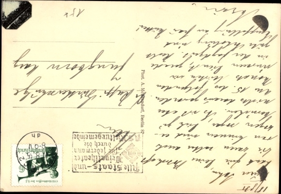 Photo Postcard Berlin Zehlendorf Nikolassee, Jagdreitclub Düppel, hunting dogs