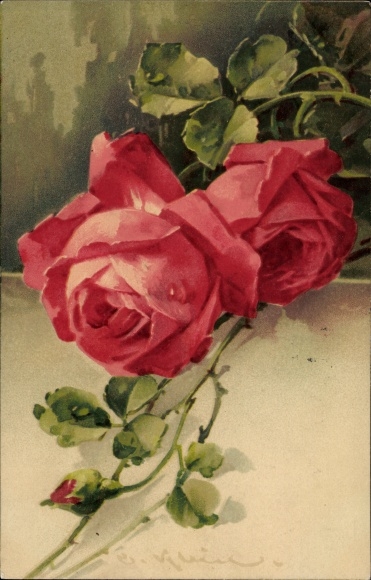 Artist PC Klein, Catharina, roses, blossoms and buds, Meissner &amp; Buch 2025