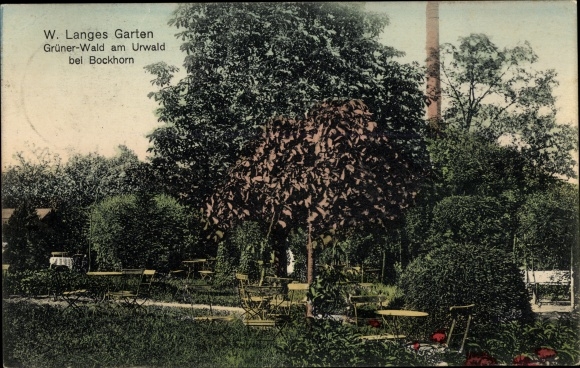 Postcard Bockhorn in Oldenburg Friesland, W. Long Garden, green forest at the jungle