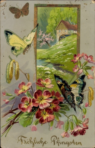 Ak Glückwunsch Pfingsten, Schmetterlinge, Blumen