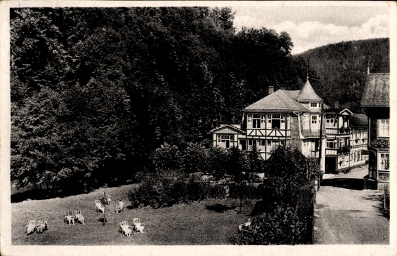 Postcard Schwarzburg in Thuringia, guesthouse, park landscape, animals in the foreground