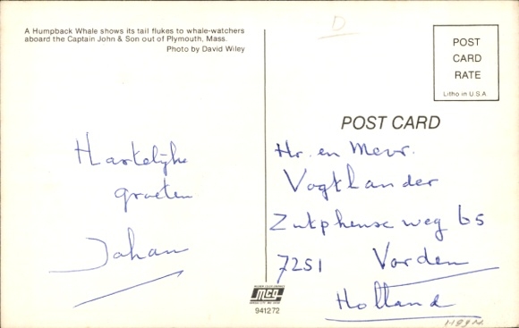 Postcard humpback whale, rorqual whale