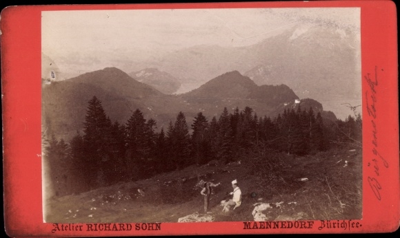 CDV Bürgenstock Kanton Nidwalden, krajobraz, góry