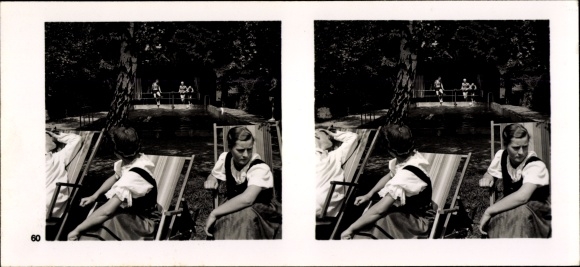 Stereo Raumbild Foto "Die NS Musterbetriebe ", III 60, Nr. 370, Molkerei Philipp Günther Zell Odenw.
