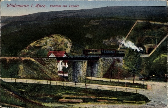 Ak Wildemann Clausthal Zellerfeld im Oberharz, Viadukt,Tunnel, Eisenbahn