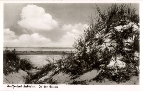 Postcard Island of Baltrum in East Frisia, dunes, panorama