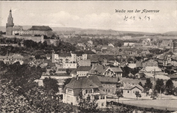 Ak Weida in Thüringen, Stadtansicht, Alpenrose, Burg, Häuser, 19.4.14