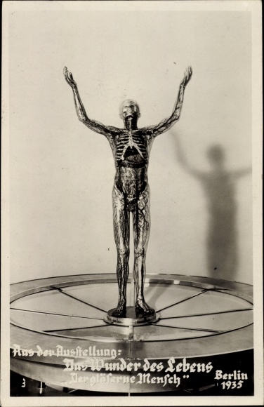 Postcard Exhibition The Miracle of Life, Berlin 1935, The Glass Man