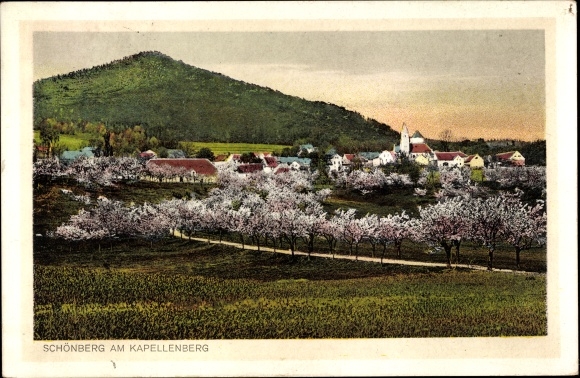 Postcard Schönberg am Kapellenberg Bad Brambach im Vogtland, overall view, blooming trees