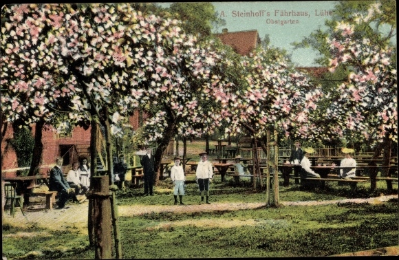 Ak Steinkirchen Altes Land Niedersachsen, Steinhoffs Fährhaus Lühe, Obstgarten