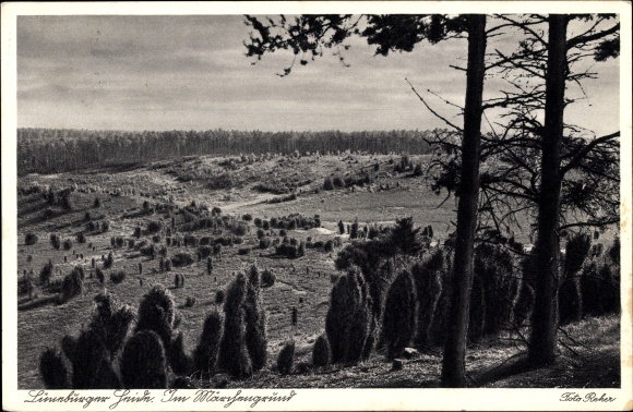 Ak Lüneburger Heide, Im Märchengrund