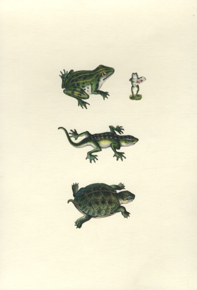 4 wafers frogs, turtle, lizard, approx. 5.5 x 7 cm to 3 x 2 cm