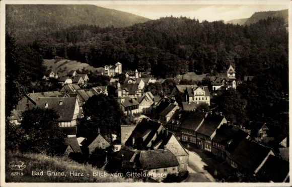 Ak Bad Grund im Harz, Totalansicht, Blick vom Gittelderberg