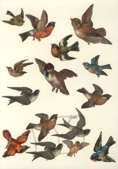 12 wafers (including 1 block of 4) native songbirds, approx. 8 x 11 cm to 4 x 4 cm