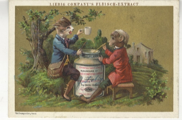 Liebig single image A 48 S 128 Fables by Lafontaine, image 2 (monkey and cat), 1883