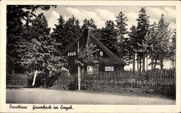 Ak Grumbach Erzgebirge, Partie am Forsthaus, Holzzaun