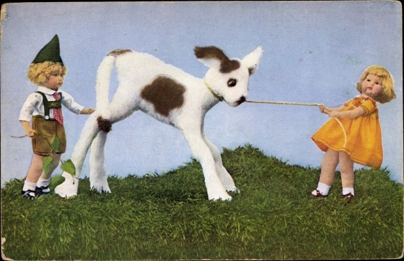 Postcard Dolls in Dutch costume with a calf