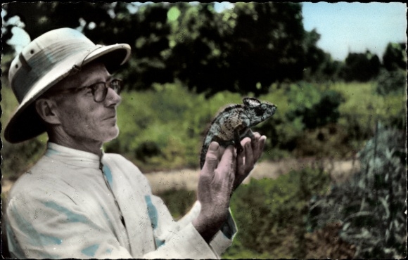 Postcard missionary with chameleon, fauna, wildlife