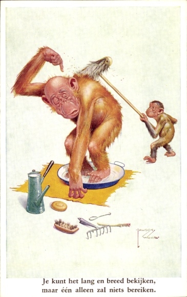 Artist Postcard Wood, Lawson, Chimpanzee scrubs back of orangutan