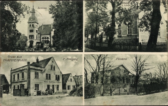 Ak Thammenhain Lossatal in Saksen, kasteel, Gasthof zur Linde, boswachterskantoor, bedrijfsgebouw P. Freigang