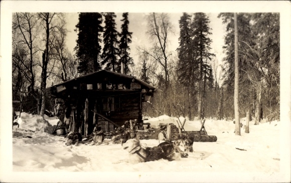 Ak Anchorage Alaska USA, houten hut, met sneeuw bedekte grond, honden op de voorgrond