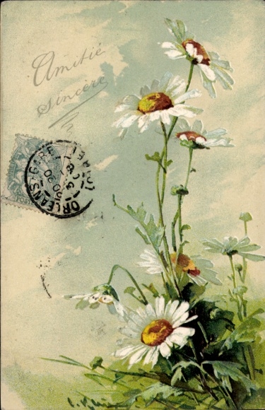 Embosser Artist Chromo-Litho Klein, C., Daisies