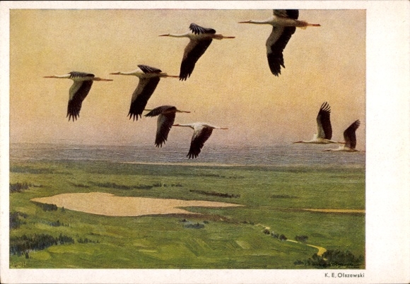 Artist Postcard Olszewski, On long paths, flying storks
