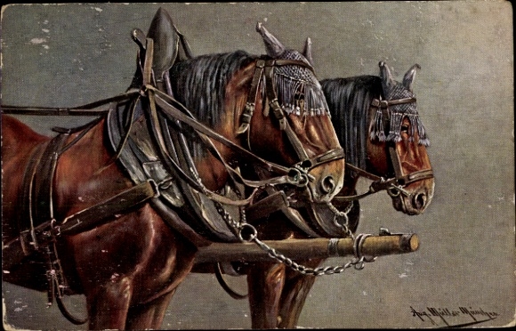 Artist Postcard Müller, August, draft horses in bridle, eye protection