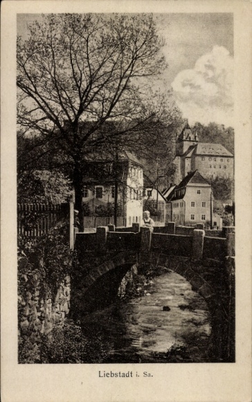 Postcard Liebstadt in Sachsen, bridge, river