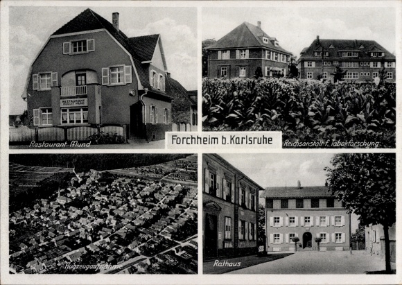 Ak Forchheim (bei Karlsruhe) Rheinstetten in Baden, Restaurant Mund, Fliegeraufnahme, Rathaus