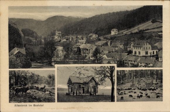 Postcard Altenbrak Thale in the Harz, general view, forest animals, wild boars, deer