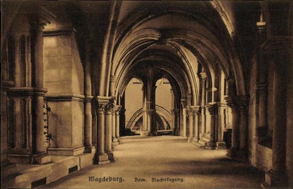 50 Ak Magdeburg Elbe, diverse Ansichten, kleinformatig