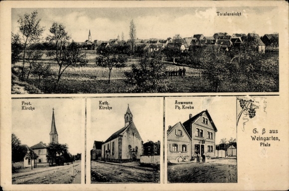 Ak Weingarten in der Pfalz, Gesamtansicht, Prot. Kirche, Kath. Kirche, Anwesen Ph. Krebs