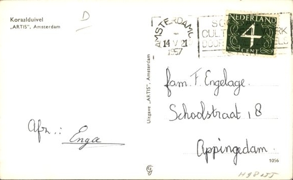 Postcard fish, lionfish