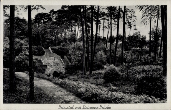 Postcard Berlin Reinickendorf Borsigwalde, Briesetal, Stone Bridge
