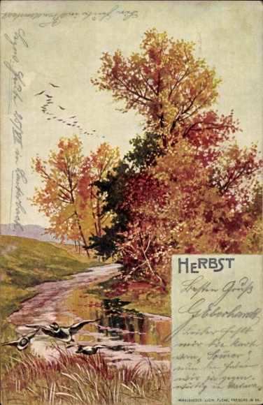 Artist Postcard Allegory, Autumn, River, Landscape, Ducks